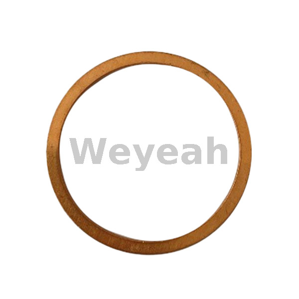 Sealing Ring 540808 for Jenbacher Engines Type 6