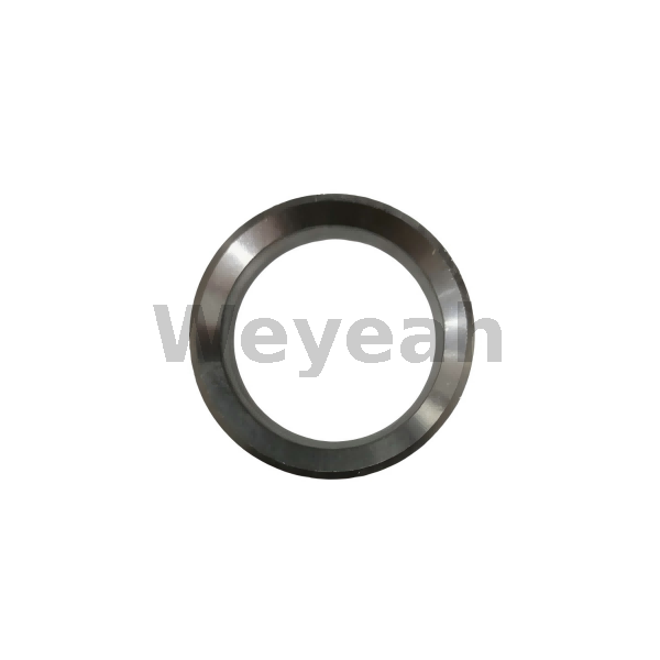 Valve Seat Insert 12306528 for MWM TCG2020 Gas Engine 