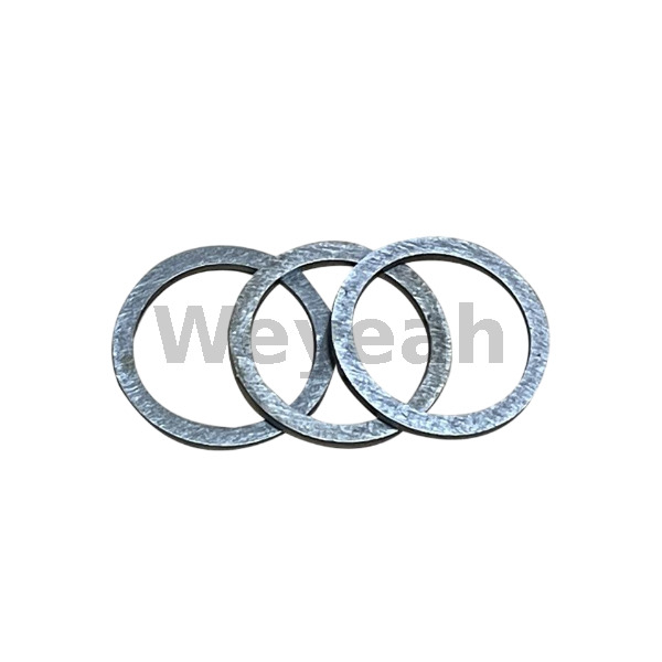 Sealing Ring 438602 for Jenbacher J420 Gas Engine