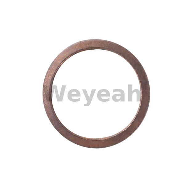 Sealing ring 100834 for Jenbacher gas engine 