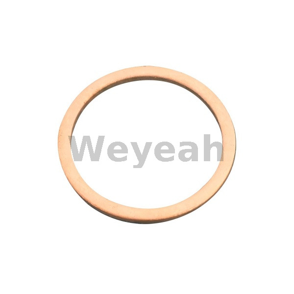 Sealing Ring 01118784 for MWM TCG2020 Gas Engine