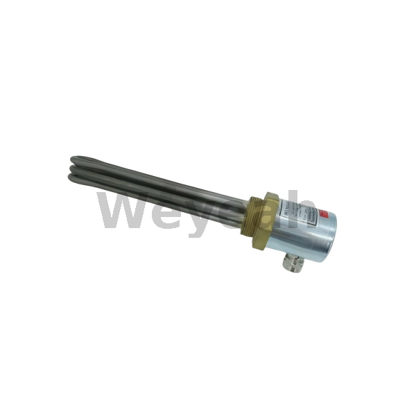 Immers.heatg.body 12409453 for MWM TCG2020 Gas Engine