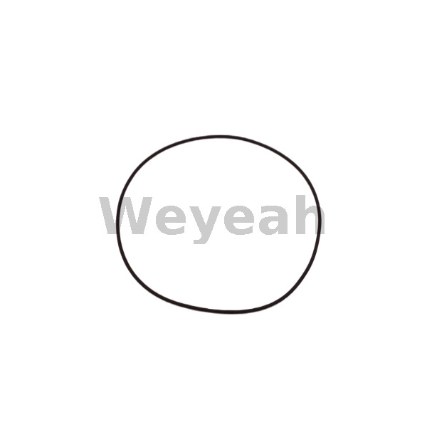 Jenbacher 456730 O-ring for Jenbacher J420 Gas Engine