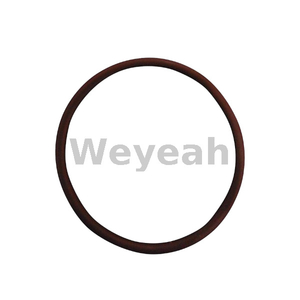 O-Ring 456731 for Jenbacher J420 Gas Engine