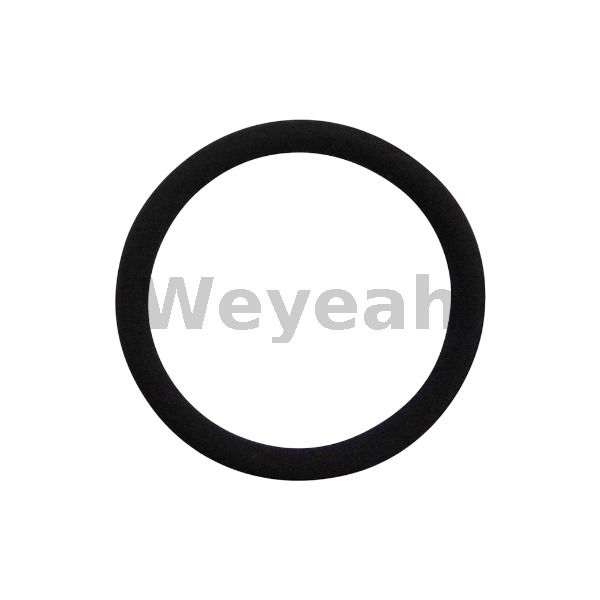 O-Ring 456745 for Jenbacher J420 Gas Engine