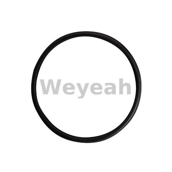 Jenbacher 165120 O-ring for Jenbacher J420 Gas Engine