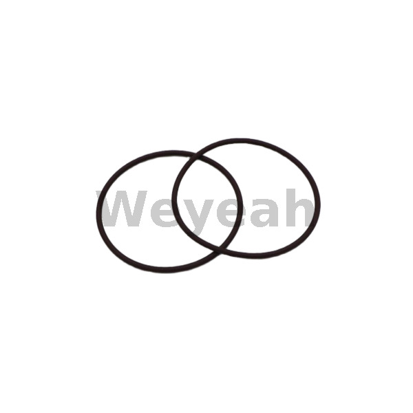 Jenbacher 468727 O-ring for Jenbacher Gas Engine