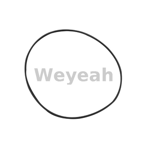 Jenbacher 456733 O-ring for Jenbacher Gas Engine