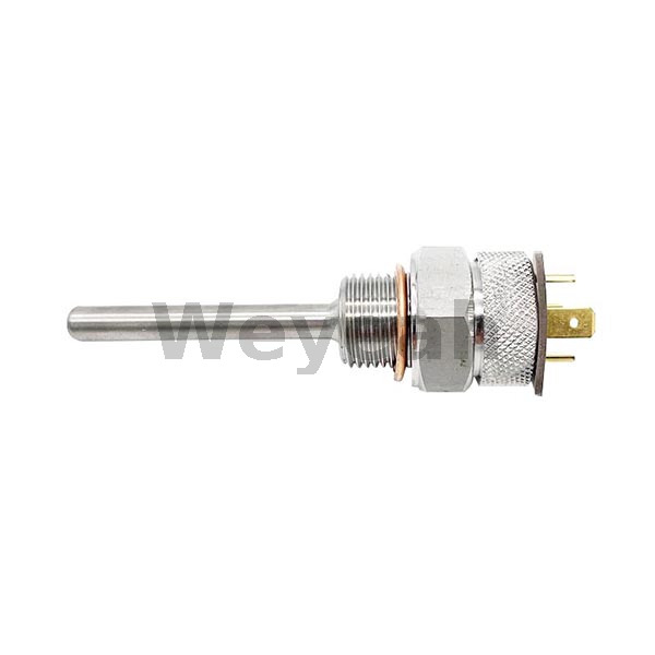 Resist.thermometer 12299465 for MWM TCG2032 Gas Engine