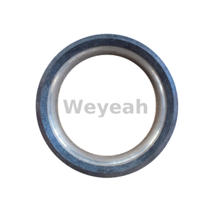 Jenbacher 417190 Inlet Valve Seat for Jenbacher J420 Gas Engine