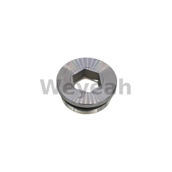 Jenbacher Parts Screw Plug 107613 for Jenbacher J320 Gas Engine