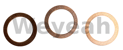 Sealing Ring 104717 for Jenbacher Gas Engine