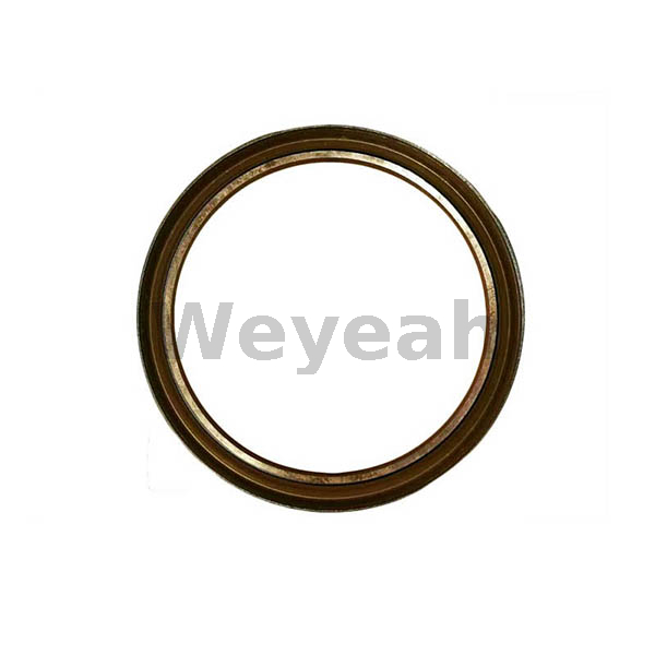 Rot. Shaft Lip Seal 12031608 for MWM TCG2020 Gas Engine