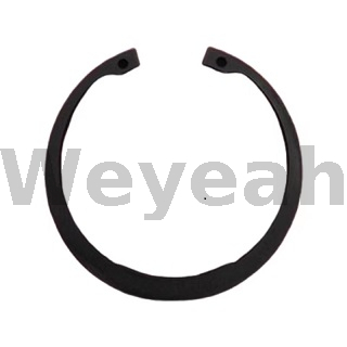 Snap Ring 102316 for Jenbacher J420 Gas Engine