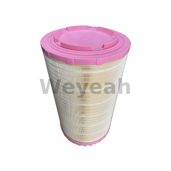 Filter Element 12216896 for MWM Gas Engine