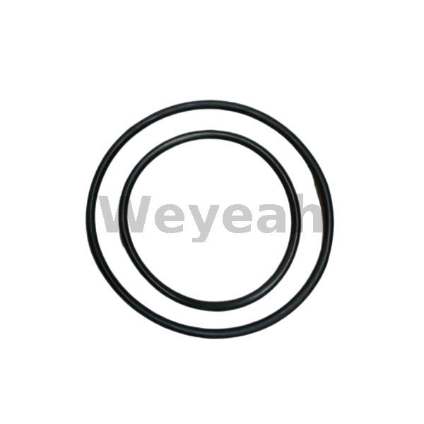 Jenbacher 222725 Sealing Ring for Jenbacher Gas Engine