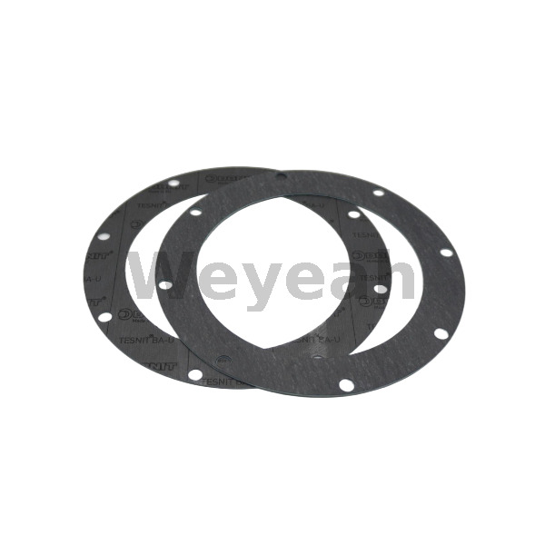 Round Flang.gasket 12301728 for MWM TCG2020 Gas Engine