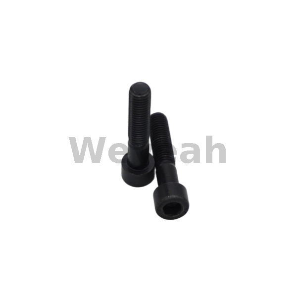 Cheese Head Screw 01151460 for MWM TCG2020 Gas Engine