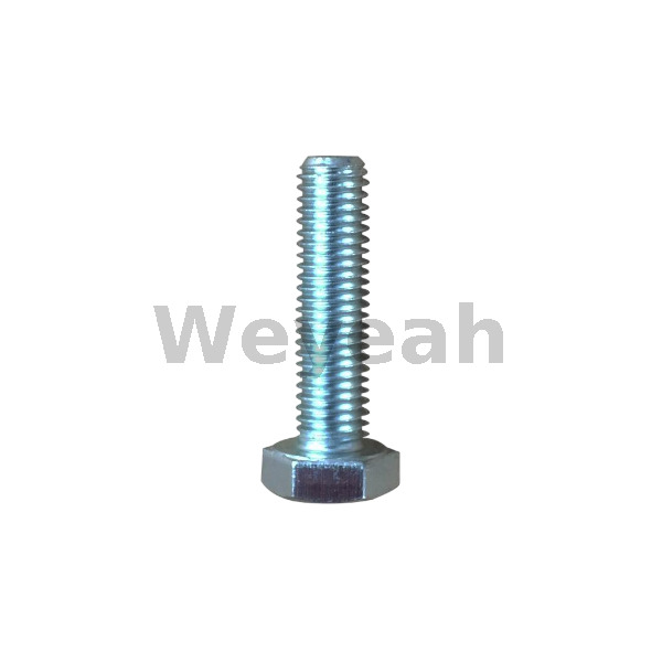 Hexagonal Head Screw 100456 for Jenbacher Gas Engine