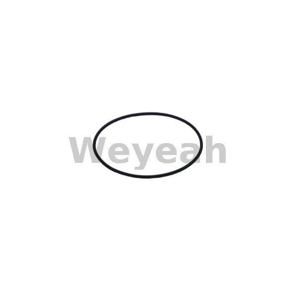 MWM 12211072 O-ring for MWM TCG2020 TBG620 gas engine