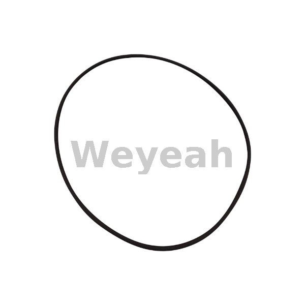Jenbacher 376488 O-ring for Jenbacher Gas Engine