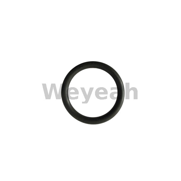 Jenbacher 268610 O-ring for Jenbacher Gas Engine