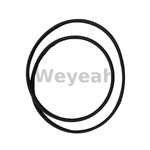 Jenbacher 162817 O-ring for Jenbacher J420 Gas Engine