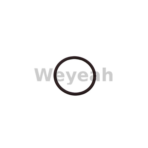 Jenbacher O-ring 105812 for Jenbacher gas engine