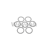 Jenbacher 376507 O-ring for Jenbacher Gas Engine