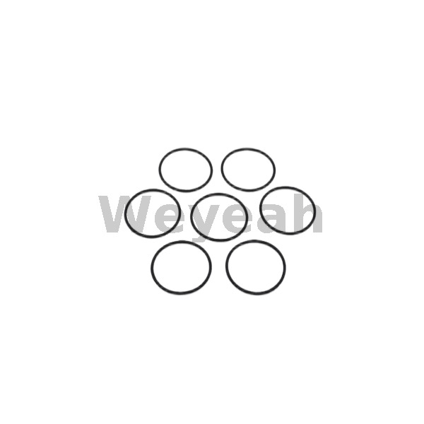 Jenbacher 376507 O-ring for Jenbacher Gas Engine