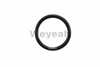 O-Ring 3D2824 for CAT 3500 Gas Engine