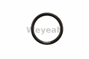 O-Ring 3D2824 for CAT 3500 Gas Engine