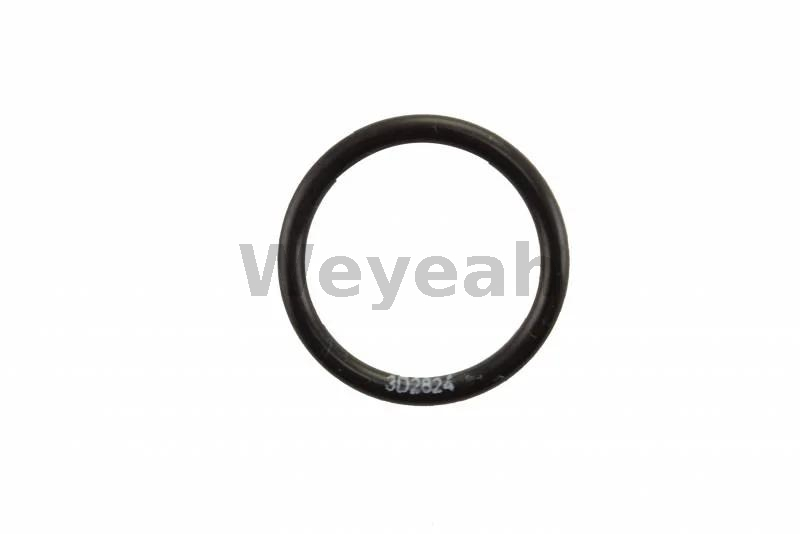 O-Ring 3D2824 for CAT 3500 Gas Engine