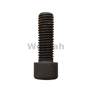 Cylinder Screw 408809 for Jenbacher Engines Type 6