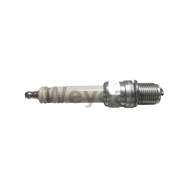 Spark Plug 12420290 for MWM Gas Engine