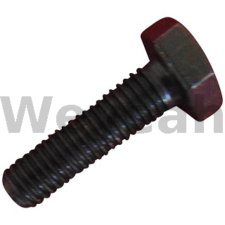 Hexagonal Head Screw 100473 for Jenbacher Gas Engine