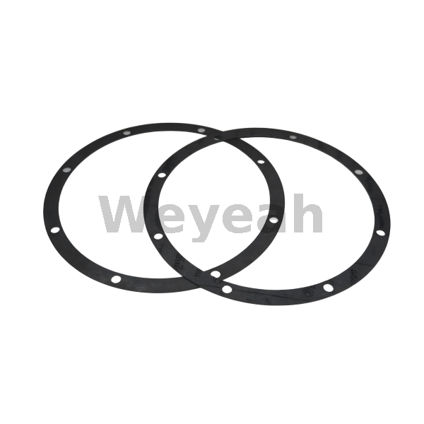 Gasket 12420359 for MWM TCG2020 Gas Engine 
