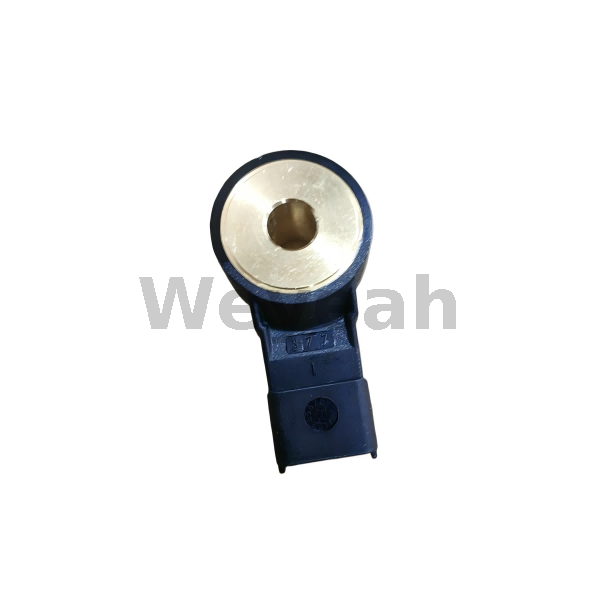 Sensor 04269108 for MWM TCG2020 Gas Engine
