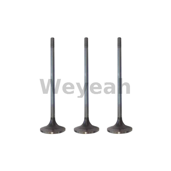 Hot Sell CAT G3520C Gas Engine Parts Inlet/outlet Valve 1047184 104-7184