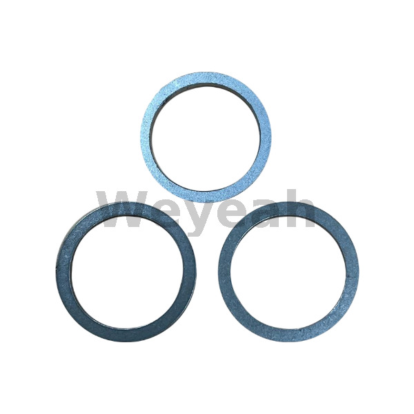 Sealing Ring 438602 for Jenbacher J420 Gas Engine