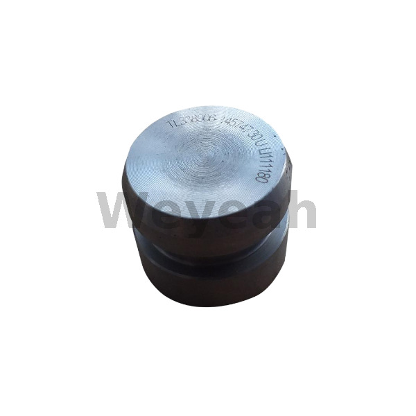 Plug 338906 for Jenbacher Engines Type 6 