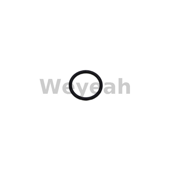 Jenbacher 376482 O-ring for Jenbacher Gas Engine