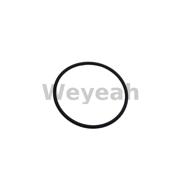 Jenbacher O-ring 105863 for Jenbacher Gas Engine