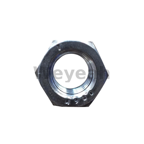 Hexagonal Nut 328973 for Jenbacher J420 Gas Engine