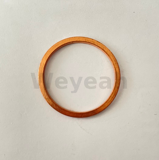 Sealing Ring 100837 for Jenbacher Gas Engine