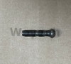 Screw 100653 for Jenbacher Gas Engine