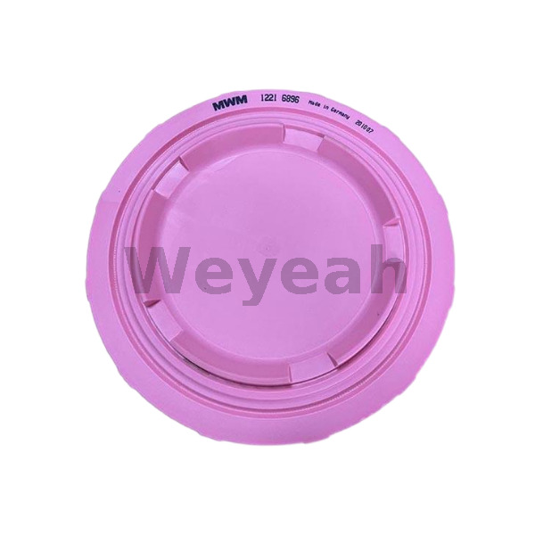 Filter Element 12216896 for MWM Gas Engine