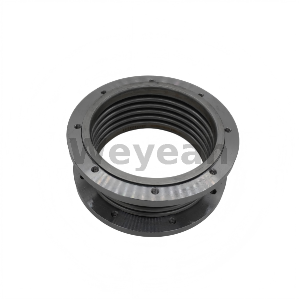 Compensator 12453254 for MWM TCG2020 Gas Engine