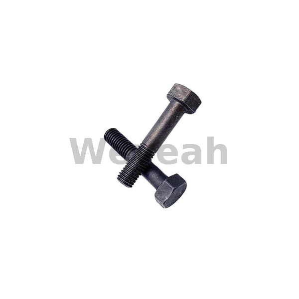 MWM 12030750 hexagon nut for MWM TCG2020 gas engine
