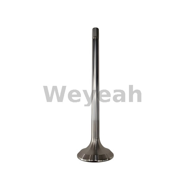 Exhaust valve 4688825 for CAT 3508 3512 3516 diesel engine